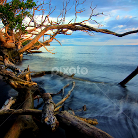 Dramatis by Erwan Setyawan - Landscapes Beaches