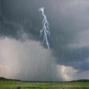 Rain Live Wallpaper.apk 1.25