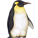 Penguin Widget logo