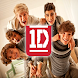 One Direction Community