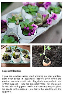 DIY Gardening Tips(圖3)-速報App
