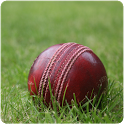 Cricket Live Score icon