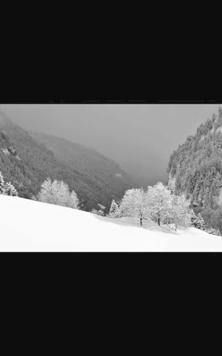 免費下載個人化APP|HD Photo Snow Mountain LWP app開箱文|APP開箱王