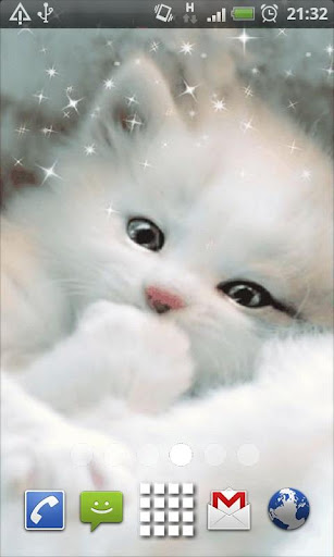 White Kitten Live Wallpaper