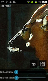 Fix Photo Noise poster 5