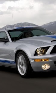Download wallpaper Shelby APK