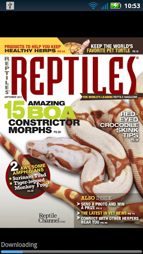 Reptiles magazine