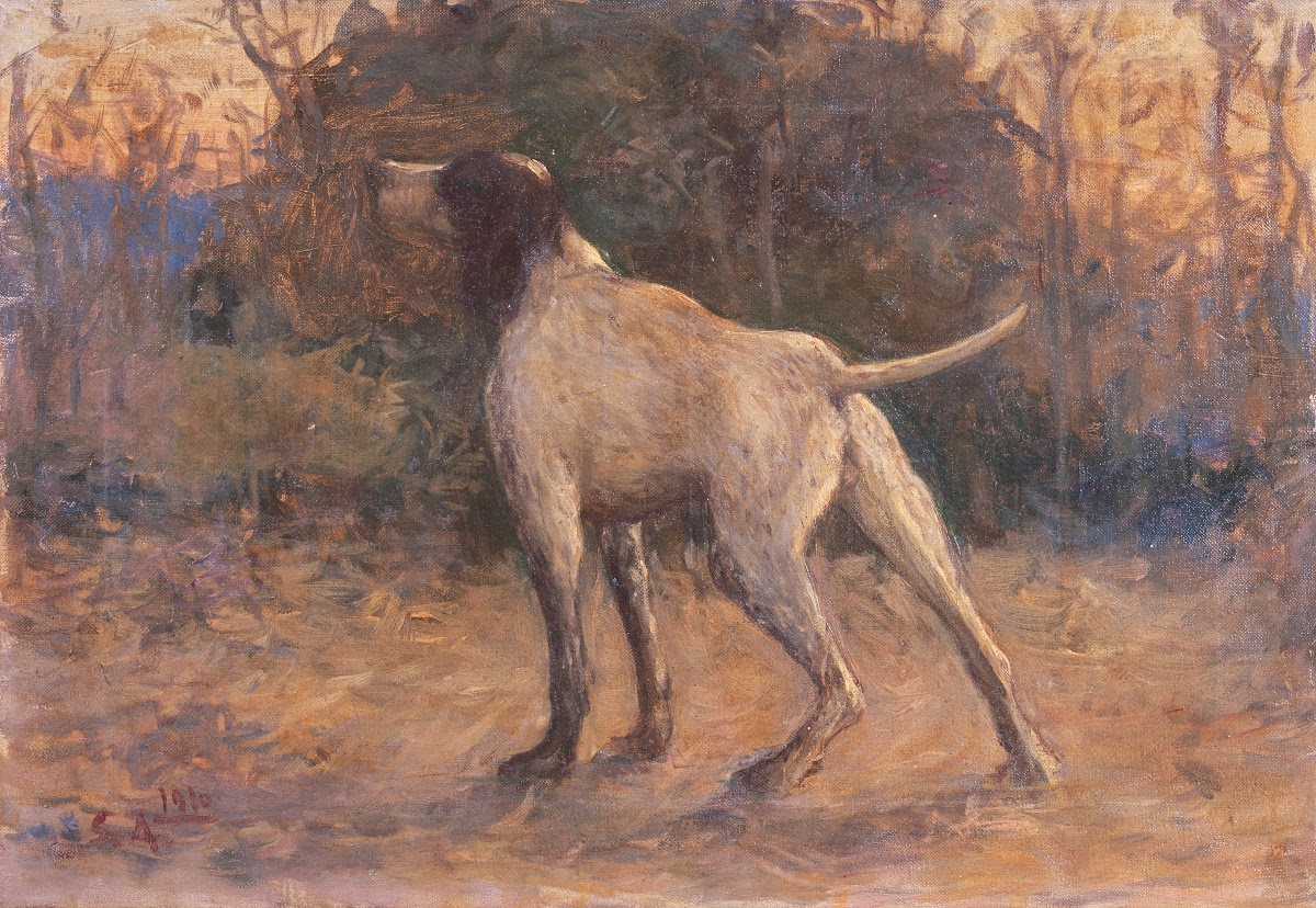 犬 青木 繁 Google Arts Culture