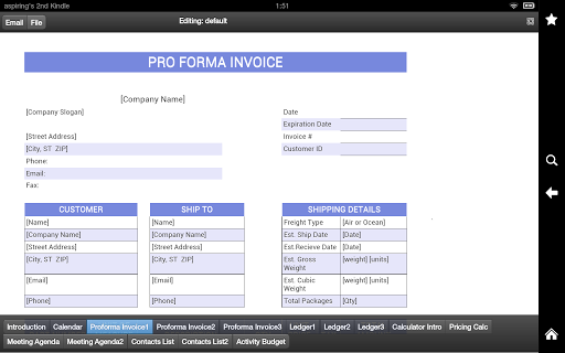 Invoices Pro