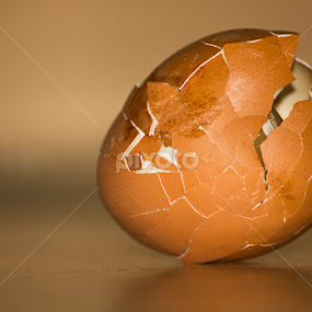 egg by Axell Rawk - Food & Drink Eating