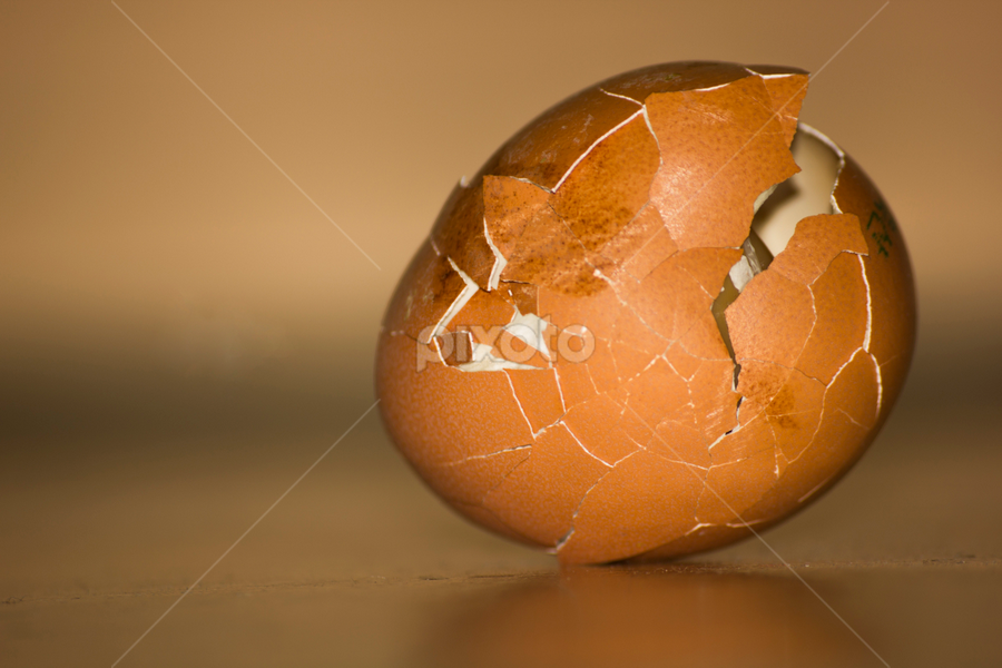 egg by Axell Rawk - Food & Drink Eating