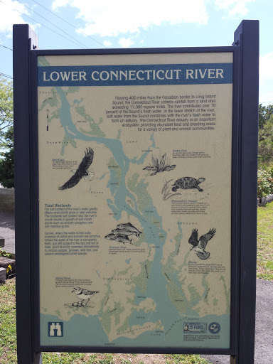 Lower Connecticut River