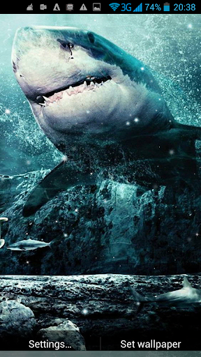 Shark 3D Live Wallpaper