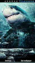 Shark 3D Live Wallpaper APK Download for Android