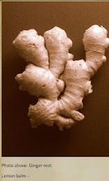 Herbal Healing for Everyone poster 3