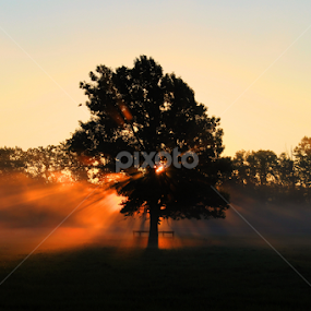 Rise Again by Ken Chambers - Landscapes Sunsets & Sunrises