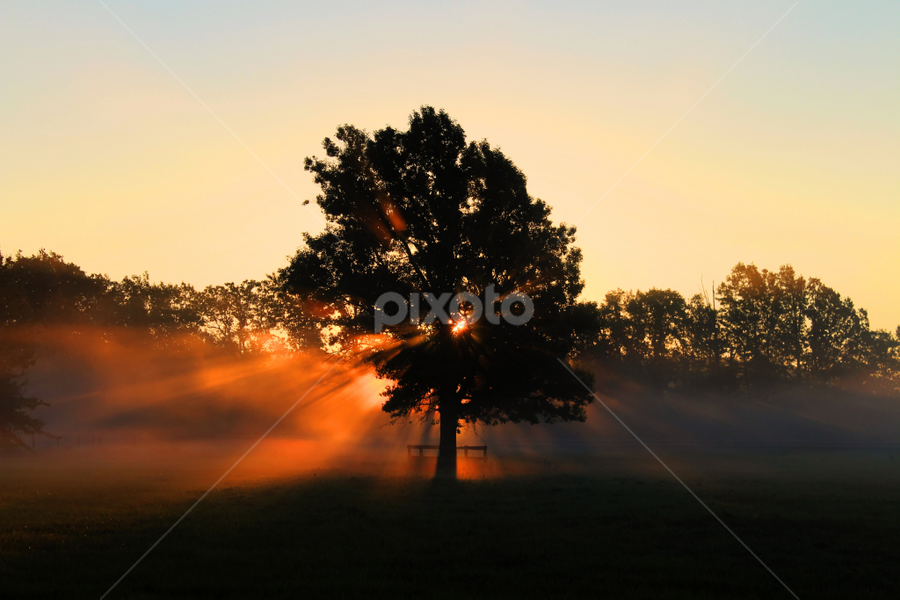 Rise Again by Ken Chambers - Landscapes Sunsets & Sunrises