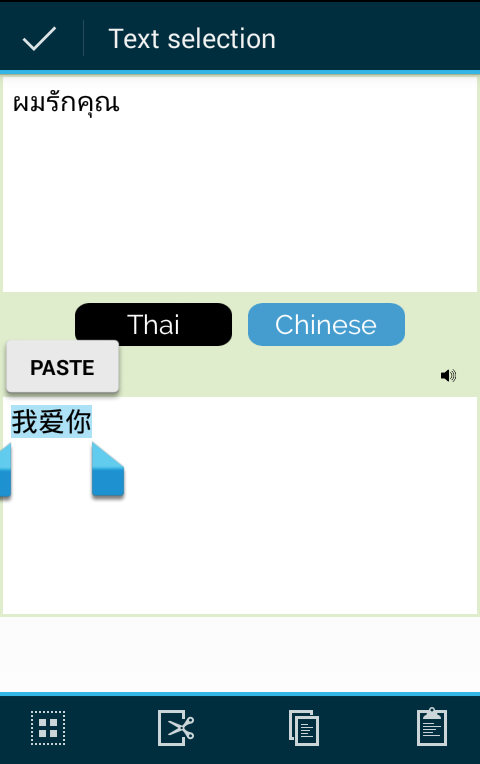 Thai Chinese Translator Screen 3
