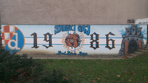 Dinamo Savski Gaj