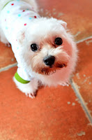 119溫馨咖啡民宿 (已歇業)