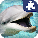 Dolphin Puzzles Apk