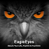 EagleEyes(Plus)1.7.5 (Paid)