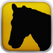 Horses 101 Training Exercises