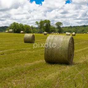 by Rany Haj - Landscapes Prairies, Meadows & Fields