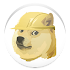 Dogeminer1.0.4