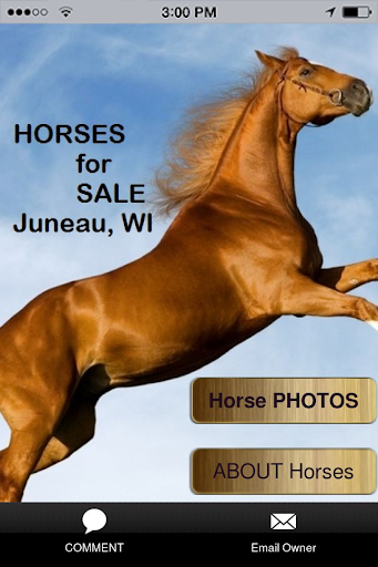 HORSE Sale - Juneau Wisconsin