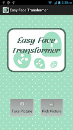 Easy Face Transformer poster 1