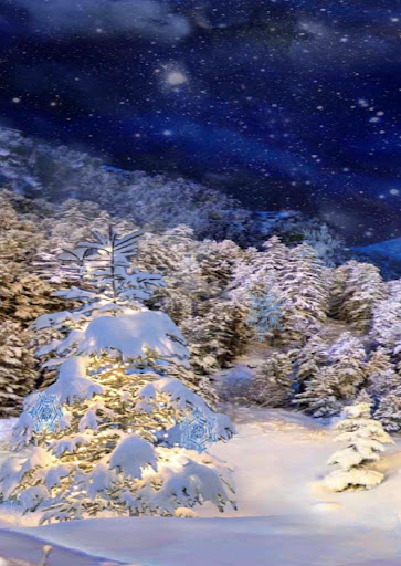 3D winter live wallpaper