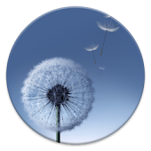 Touchwhiz Apex/Nova Theme