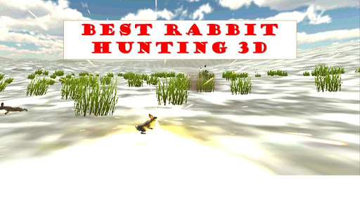 Sniper Rabbit Hunting 3D