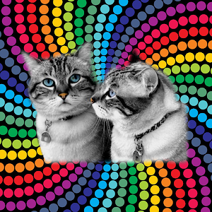 Найди Кота Бесплатно(Весна).apk 1.0.2