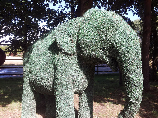 Elephant Bush Sculpture