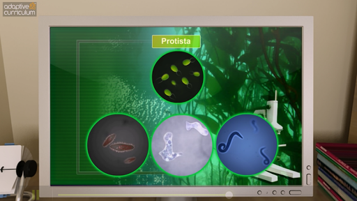 Introduction to Protists