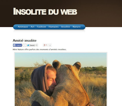 Insolite du Web