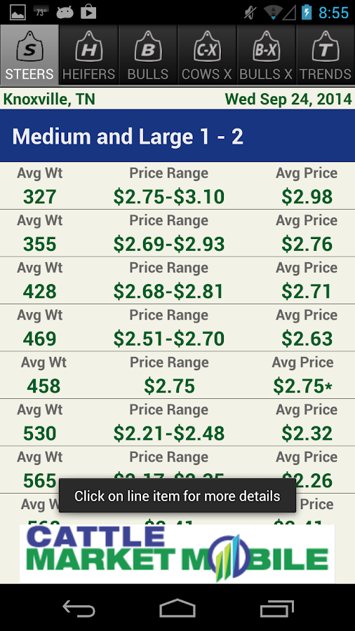 montana beef market prices