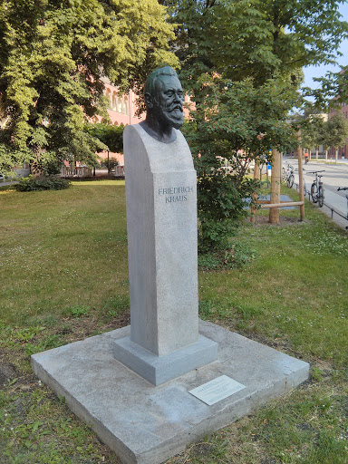 Friedrich Kraus