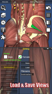 3D Anatomy - Apps on Google Play