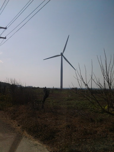 Bangui Windmill No. 1