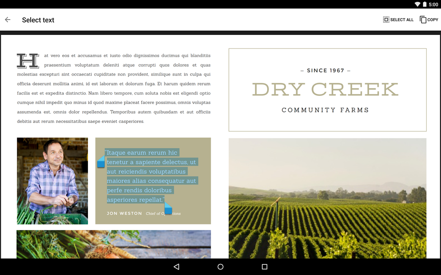    Google PDF Viewer- screenshot  