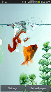 Lastest Aquarium Live Wallpaper APK for PC