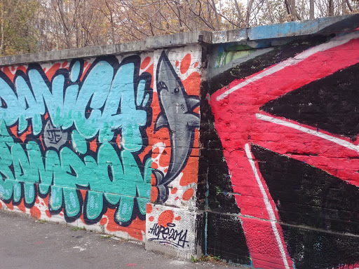 Ajkula Grafit