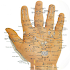 Acupressure Tips3.2.3