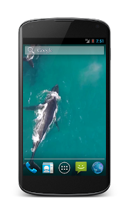 How to install Whales Free Video Wallpaper 1.4 unlimited apk for laptop