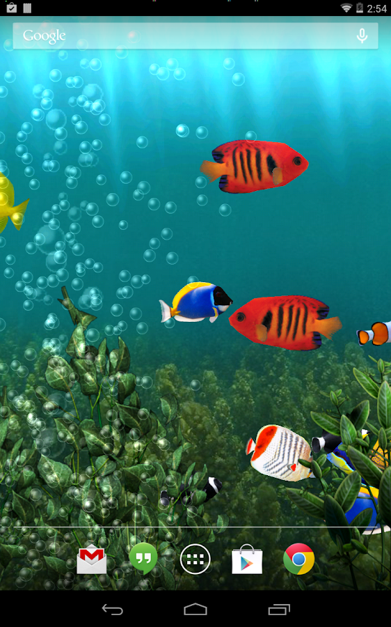 Free Live Aquarium Desktop Fish Wallpaper