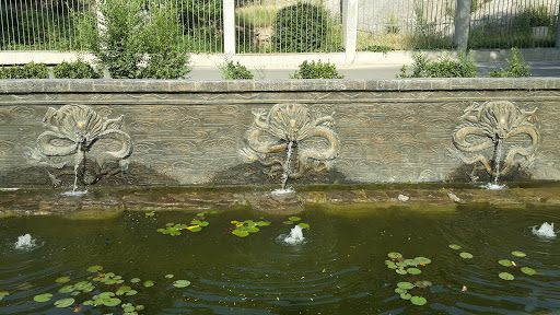 Dragon Fountains
