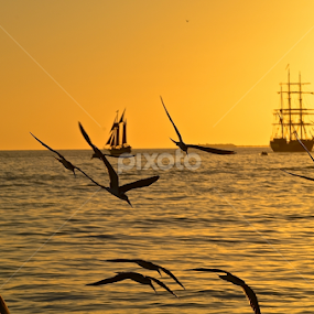 flying thoughts by Silvia Mininni - Landscapes Sunsets & Sunrises
